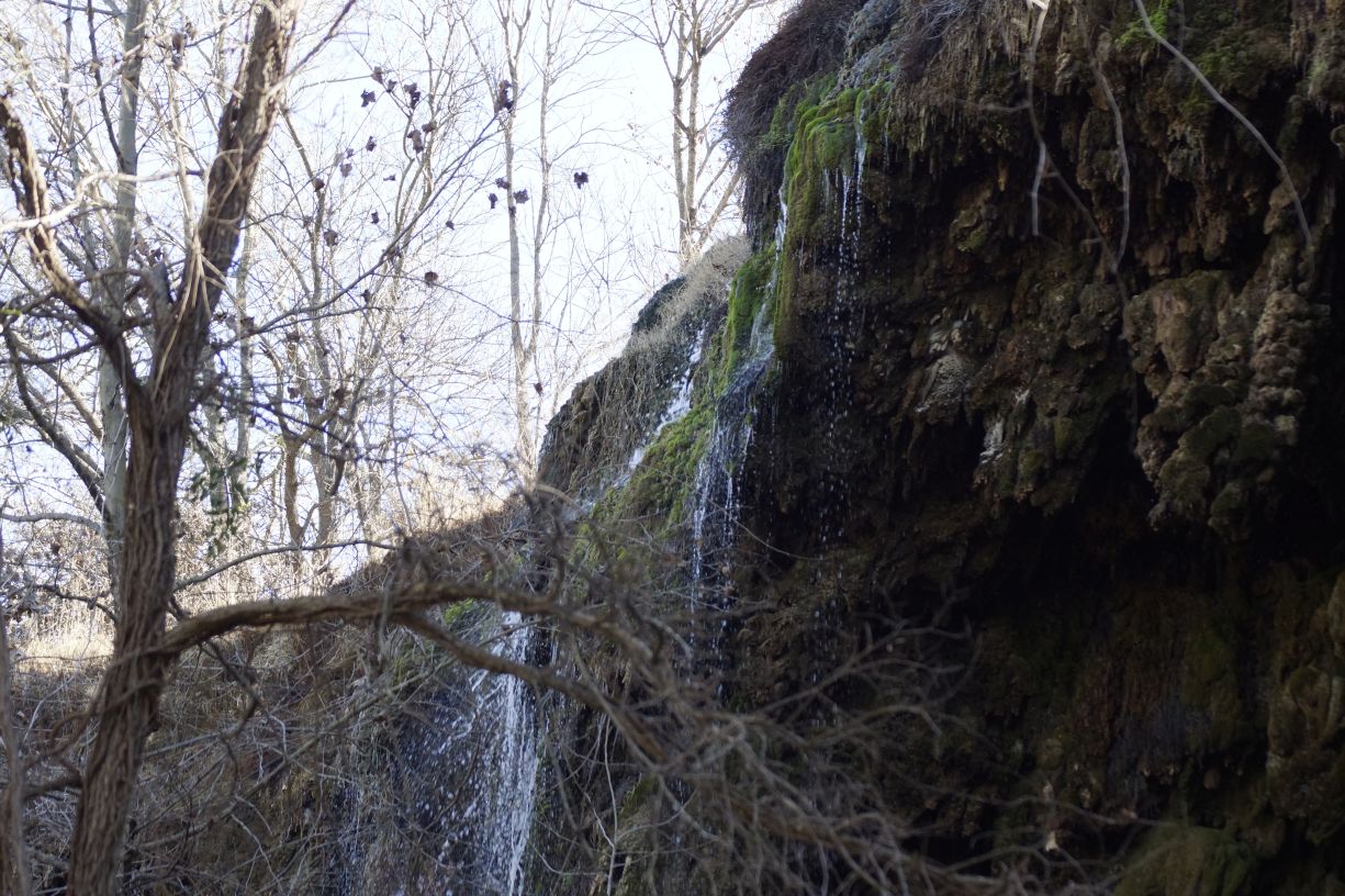 20170131-010