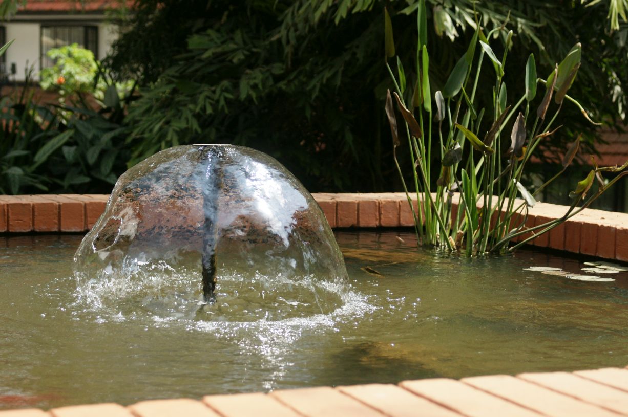 SONY DSC
